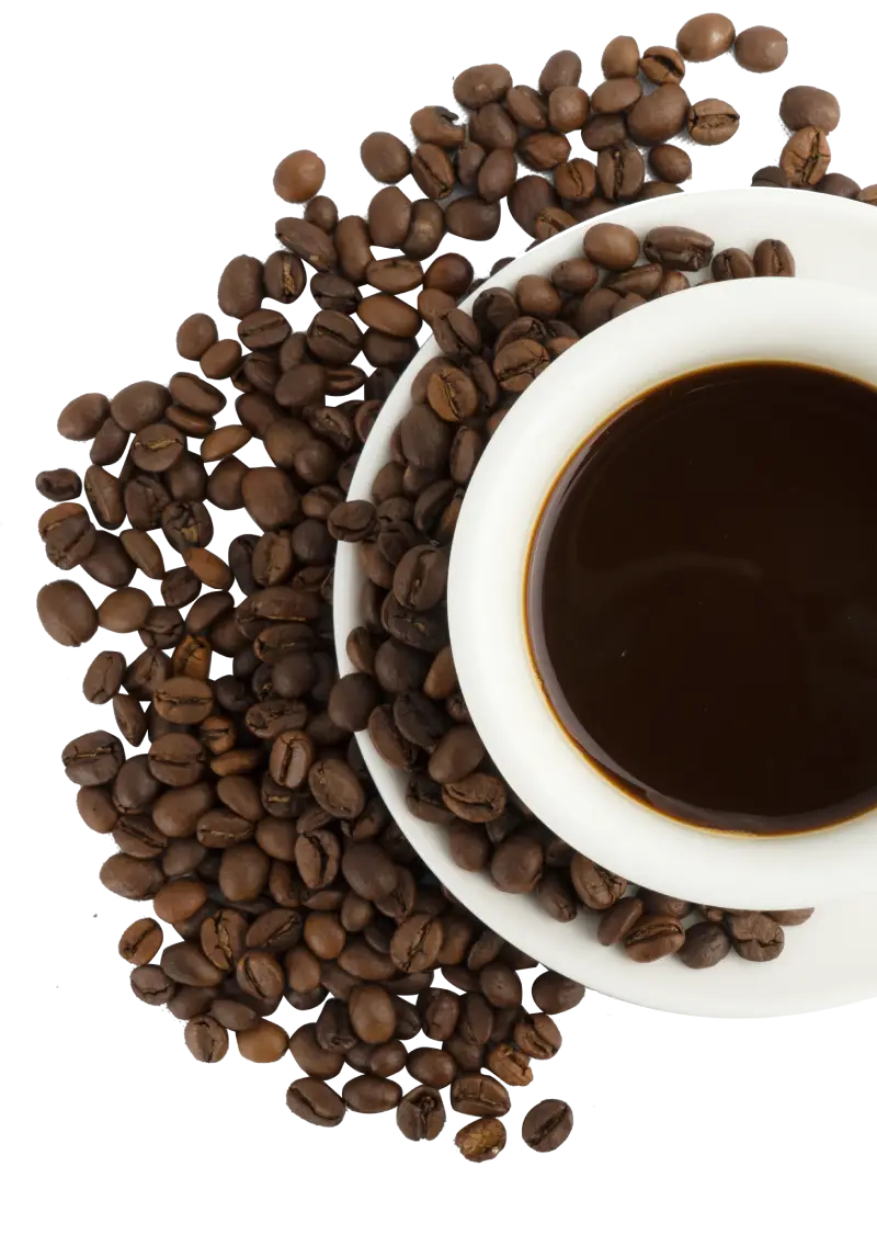 A white cup filled with dark coffee, surrounded by scattered roasted coffee beans on a white background.